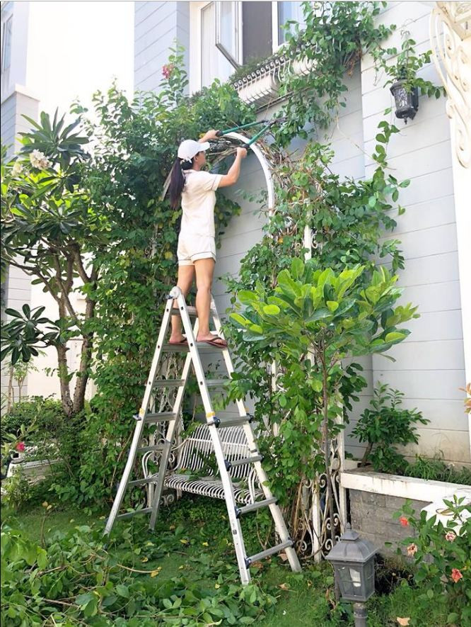 Gia đình Minh Khang - Thúy Hạnh sở hữu một vườn rau nhỏ với loại rau từ mồng tơi, dưa leo, càng cua... Siêu mẫu Thuý Hạnh dành rất nhiều tâm huyết cho vườn rau này. Chị không ngại phơi nắng dầm mưa để chăm chút, tỉa tót cho từng cây rau, nhánh hoa trong vườn nhàẢnh: blogspot.