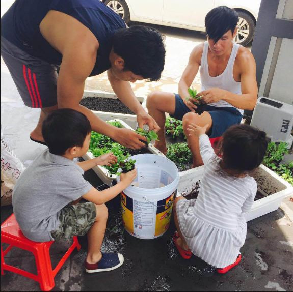 Lý Hải cùng các con chăm chú chiết rau non đưa lên giàn thủy canh. Ảnh: blogspot.