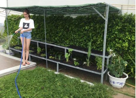 Ngọc Trinh giản dị, đời thường với quần sooc jean và áo phông vui vẻ tưới nước cho vườn rau của mình. Ảnh: wordpress.