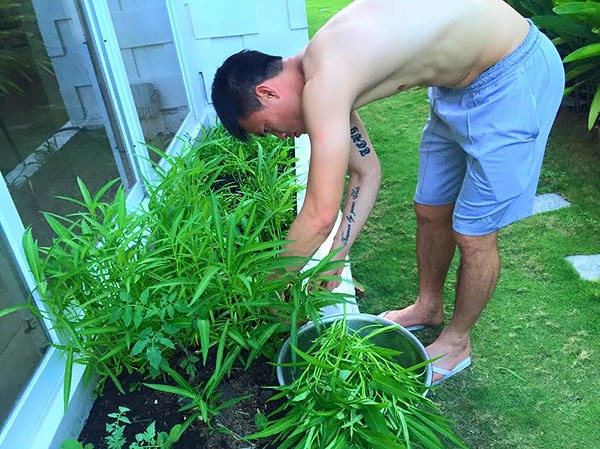 Công Vinh cũng không ngần ngại “cởi áo” giúp vợ hái rau. Ảnh: plo.