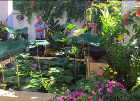 Biệt thự màu trắng của gia đình nghệ sĩ Quyền Linh đầy ắp cây cảnh, chậu hoa và bồn sen. Ảnh: wordpress.