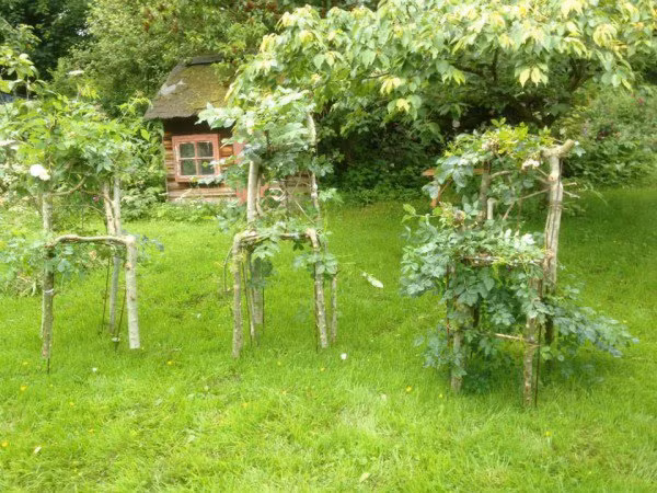 Toàn bộ quá trình mất khoảng 4-8 năm. Kết quả sẽ thu được món đồ nội thất hữu ích và thân thiện, bền hơn bất kỳ nội thất nào trên thị trường. Thậm chí, nó còn có thể kéo dài trong nhiều thế kỷ.