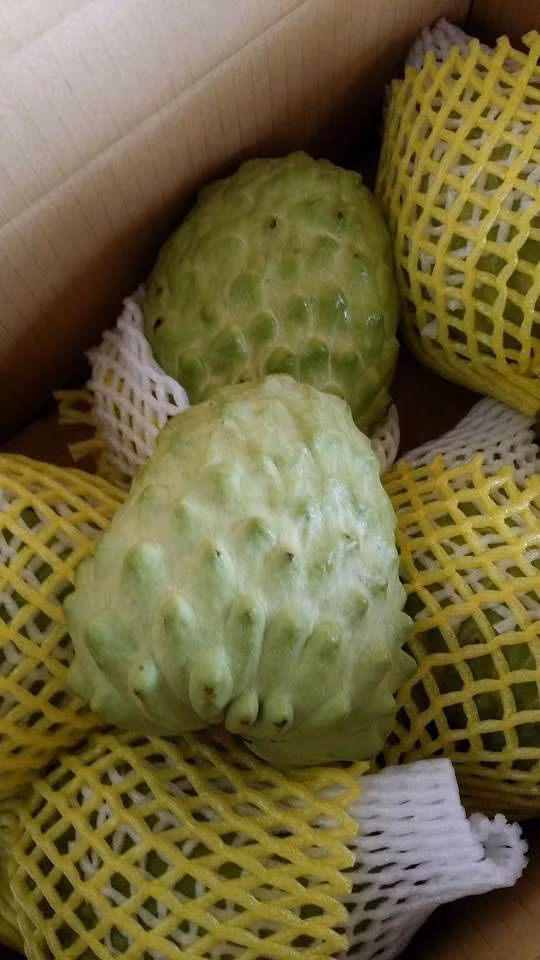 Tùy từng loại đất cho ra những loại na có hương vị khác nhau, trong đó na Taitung được đánh giá là ngon nhất. Mùa thu hoạch na ở Đài Loan thường bắt đầu từ tháng 7 năm trước đến tháng 2 năm sau. Ảnh: FB Hoa quả nhập ngoại.