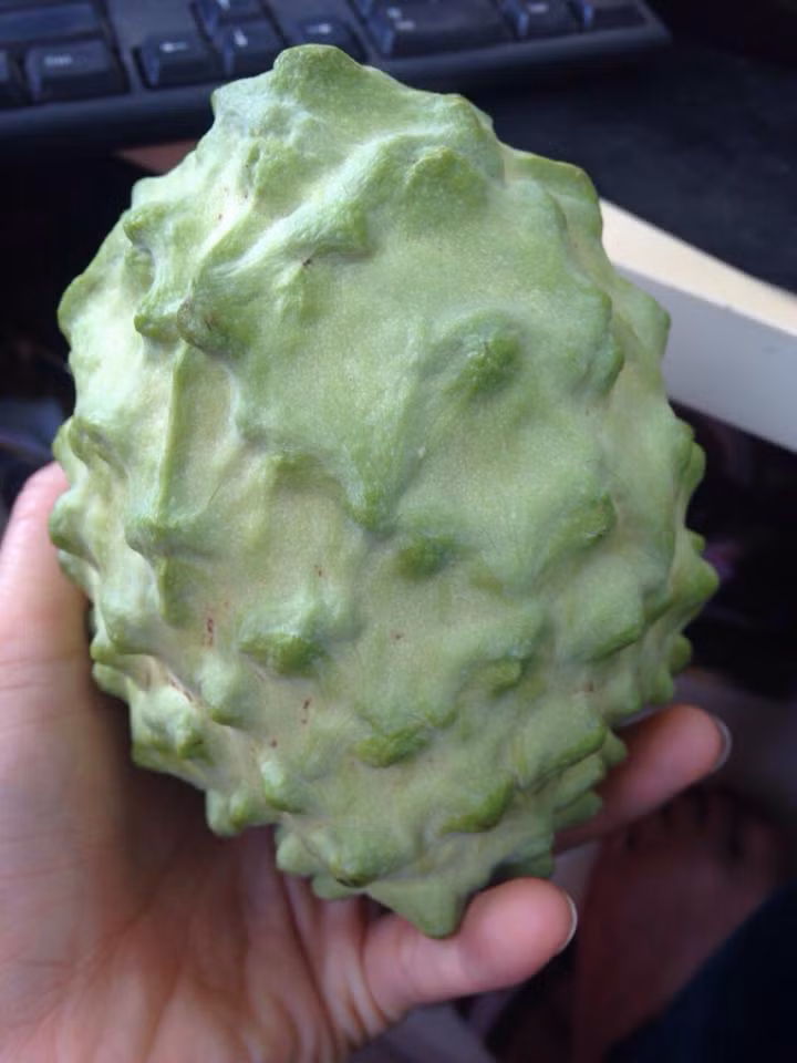 Thông thường một quả na Đài Loan nặng từ 0,6 - 1 kg. Ảnh: FB Hoa quả nhập ngoại.