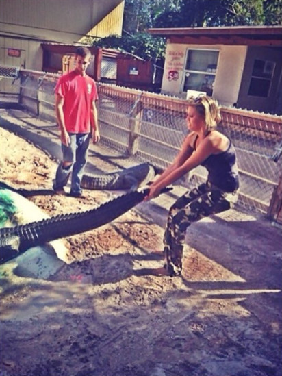 Kayla kể lại, khi có ai đó trong vùng phát hiện một con cá sấu họ sẽ gọi cho ông cha Kayla. Nhiệm vụ chính của cô là cầm một chiếc gậy chuyên săn cá sấu và đi theo cha mình để bẫy và đưa chúng trở về với tự nhiên