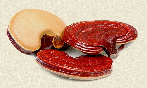 Su that ve than duoc cai tu hoan sinh nha giau Viet dang lung mua-Hinh-4