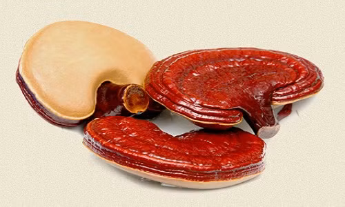 Su that ve than duoc cai tu hoan sinh nha giau Viet dang lung mua-Hinh-4