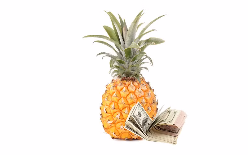 Chính vì cách trồng đặc biệt và chi phí cao như vậy nên khi được thu hoạch, mỗi quả dứa vàng được bán với giá khủng lên đến tới 10.000 bảng Anh (khoảng hơn 284 triệu đồng).