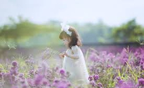 Với lớp trẻ, những địa điểm mới để chụp ảnh hay “check in” luôn gây ra những cơn sốt. Gần đây là phim trường lãng mạn ở ngay lòng Hà Nội ngập đầy hoa cỏ.