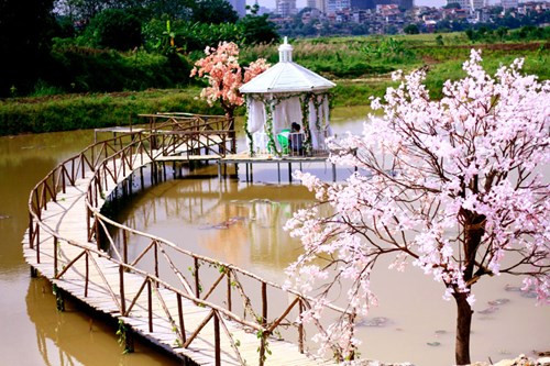 Một cây cầu nên thơ bên hồ với những cây anh đào gợi nhớ vẻ đẹp của đất nước Nhật Bản.