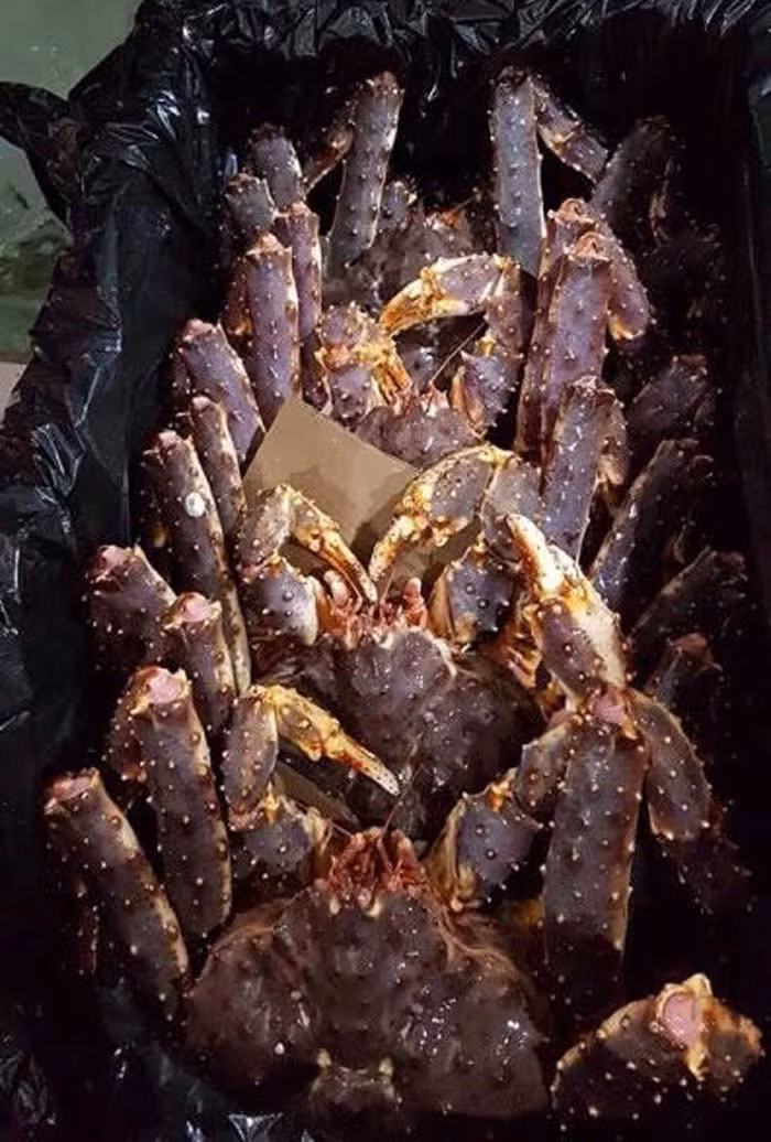 Loại cua tươi bảo quản lạnh thường được nhập về Việt Nam qua đường biển, giá của chúng chỉ ở mức 1,2 triệu đồng/kg.