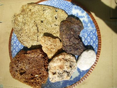 Long diên hương là dịch tiêu hóa dạng sáp tiết ra từ ruột của cá voi. Dịch sáp này có tác dụng bao phủ lấy thức ăn cứng trong bụng cá voi, từ đó giúp bảo vệ nội tạng của chúng. Chúng được sử dụng để chế biến ra thuốc kích dục, dược phẩm và nước hoa, có giá đắt như vàng hơn 600 nghìn đồng/ 28,35 gram.