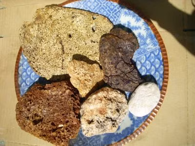 Long diên hương là dịch tiêu hóa dạng sáp tiết ra từ ruột của cá voi. Dịch sáp này có tác dụng bao phủ lấy thức ăn cứng trong bụng cá voi, từ đó giúp bảo vệ nội tạng của chúng. Chúng được sử dụng để chế biến ra thuốc kích dục, dược phẩm và nước hoa, có giá đắt như vàng hơn 600 nghìn đồng/ 28,35 gram.