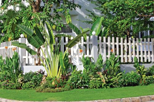 Mẫu hàng rào theo phong cách thân thiện với môi trường này rất thích hợp cho những người yêu thích thiên nhiên. Ảnh: Ytuongnhadep.