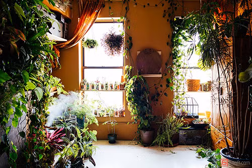 Cô gái này là một nhà xuất bản, một doanh nhân kinh doanh sinh thái, một người mẫu. Tuy nhiên, niềm đam mê nhất là chăm sóc cho vườn cây tươi tốt của riêng mình.