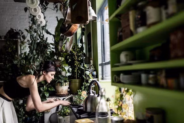 Đổi lại tất cả những công việc chăm sóc cây bận rộn ấy là cảm giác nhẹ nhõm mỗi khi cô Oakes bước vào nhà.