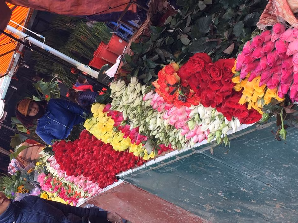 Khảo sát giá hoa tại một số cửa hàng hoa ở chợ Quảng Bá có thể thấy rõ được điều đó. Dù là chợ đầu mối hoa nhưng giá lại không hề rẻ trong dịp này. Bình quân mỗi bông hoa hồng đỏ có giá từ 7.000 - 10.000 đồng/bông tăng 4.000 - 5.000 đồng/bông so với ngày thường.