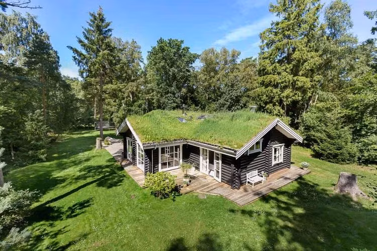 Điểm ấn tượng nhất của ngôi nhà chính là phần mái phủ cỏ xanh. Lớp cỏ này có thể thay mới khi héo úa. Ảnh lakbermagazin.