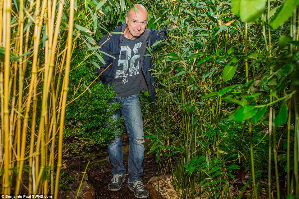 Nguồn ảnh: Dailymail.