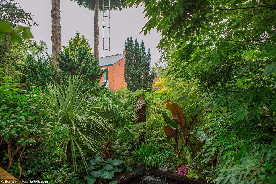Sau khi hình thành, từ sáu năm trở lại đây hàng ngày khu rừng nhỏ này thu hút hàng trăm lượt khách du lịch đến tham quan.