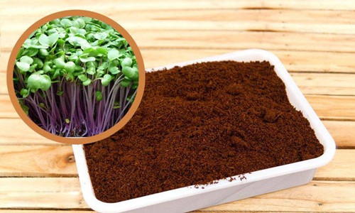 Xơ dừa tươi trước khi trồng sẽ được âm ngủ và xả nước cho hết chất mặn, chất chát có trong xơ dừa. Sau đó sẽ được phơi khô và cất trữ trước khi được đem làm giá thể trồng cây. Xơ dừa không chỉ tốt cho cây trồng mà còn tiện dụng với người làm vườn mà lại hoàn toàn thân thiện với môi trường.