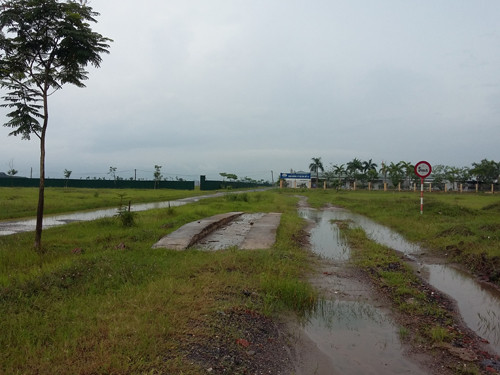 Theo thông tin từ An ninh tiền tệ, giá đất nền tại xã Đại Thịnh rẻ, nên người dân không có nhu cầu mua chung cư. Đó có thể là lý do mà Tổng Cty HUD không đầu tư thêm vào dự án đô thị Thanh Lâm - Đại Thịnh 2. Hiện dự án này được người dân tận dụng thả trâu, bò ăn cỏ. Ảnh: Kinh tế nông thôn.