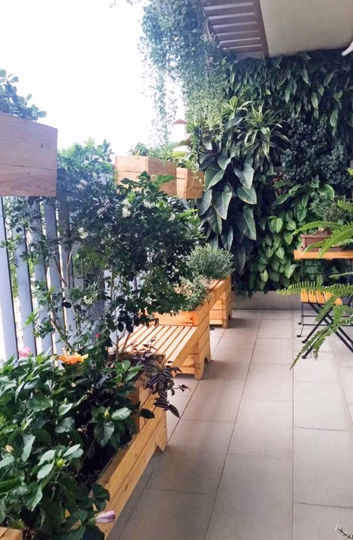 Bạn hoàn toàn có thể đặt khung gỗ vuông hay tròn, tùy theo diện tích ban công và thẩm mỹ của mỗi nhà. Bạn cũng nên chú ý rằng khung gỗ rất thích hợp với những loại cây hoa, cây bụi nhỏ có hoa. Ảnh: Afamily.