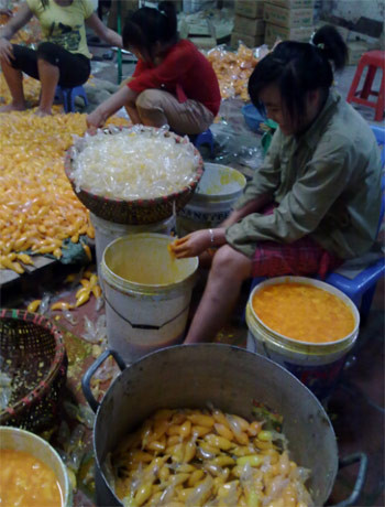 Nhung lan thach rau cau ban tuon ra thi truong-Hinh-4