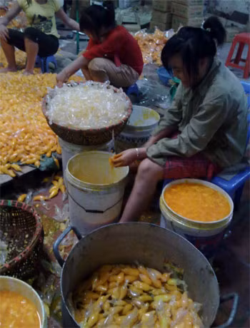 Nhung lan thach rau cau ban tuon ra thi truong-Hinh-4