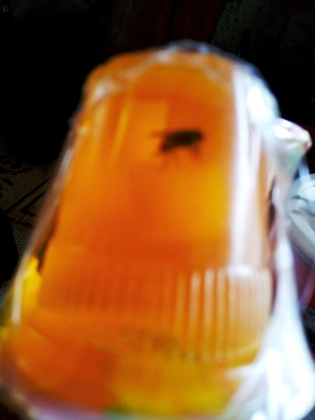 Nhung lan thach rau cau ban tuon ra thi truong-Hinh-2