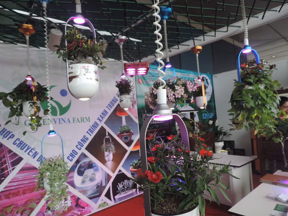 Cấu tạo của chậu cây treo này bao gồm chậu, hai đèn trên và dưới trong đó đèn ở phía trên là thuộc loại đèn LED quang hợp, đèn dưới đáy chậu là đèn nháy báo hiệu hết nước...