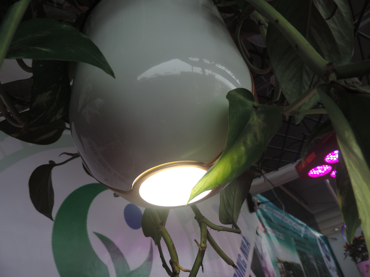 ... ngay lập tức bóng đèn dưới đáy chậu cây sẽ nhấp nháy để báo hiệu.