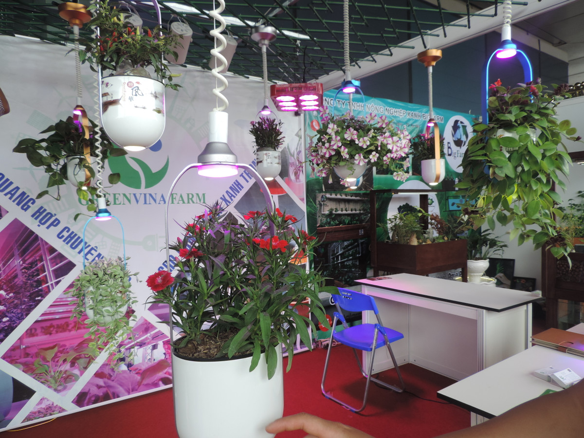 Không đơn thuần là những chậu cây cảnh treo bình thường, nhờ ứng dụng công nghệ đèn LED quang hợp và đèn nháy báo hết nước mà những chậu cây cảnh nhỏ nhắn này dù có giá tiền triệu nhưng vẫn được ưa chuộng hiện nay.