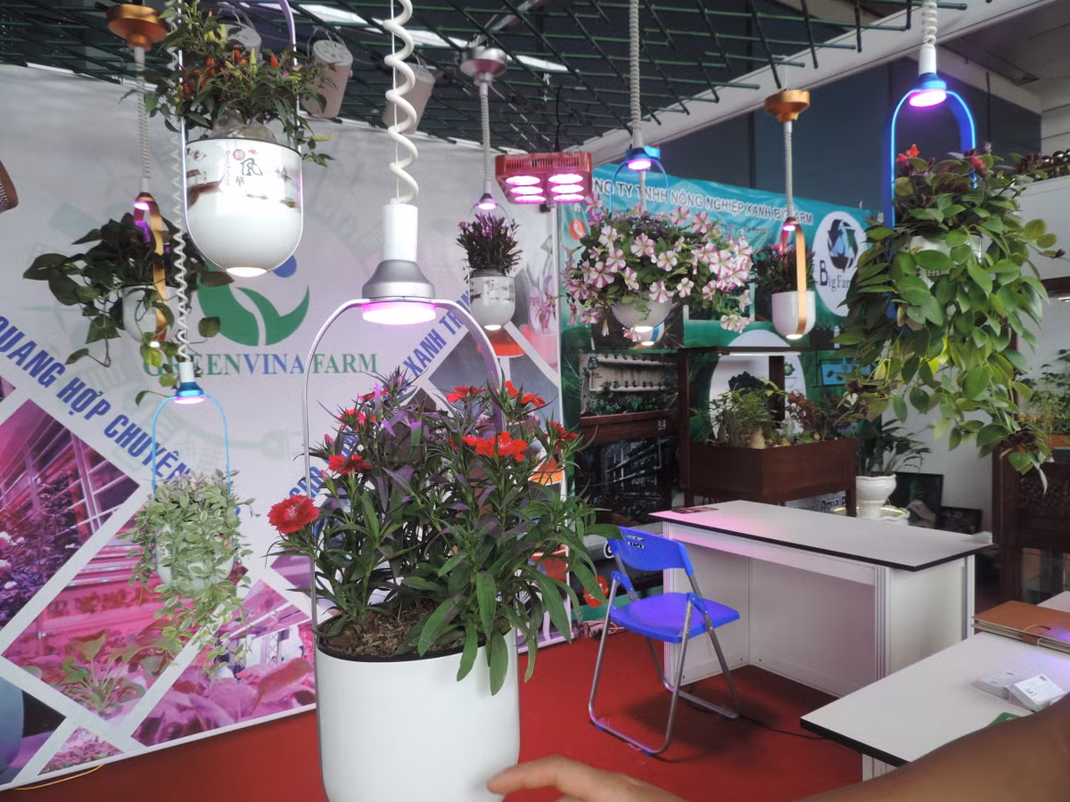 Không đơn thuần là những chậu cây cảnh treo bình thường, nhờ ứng dụng công nghệ đèn LED quang hợp và đèn nháy báo hết nước mà những chậu cây cảnh nhỏ nhắn này dù có giá tiền triệu nhưng vẫn được ưa chuộng hiện nay.