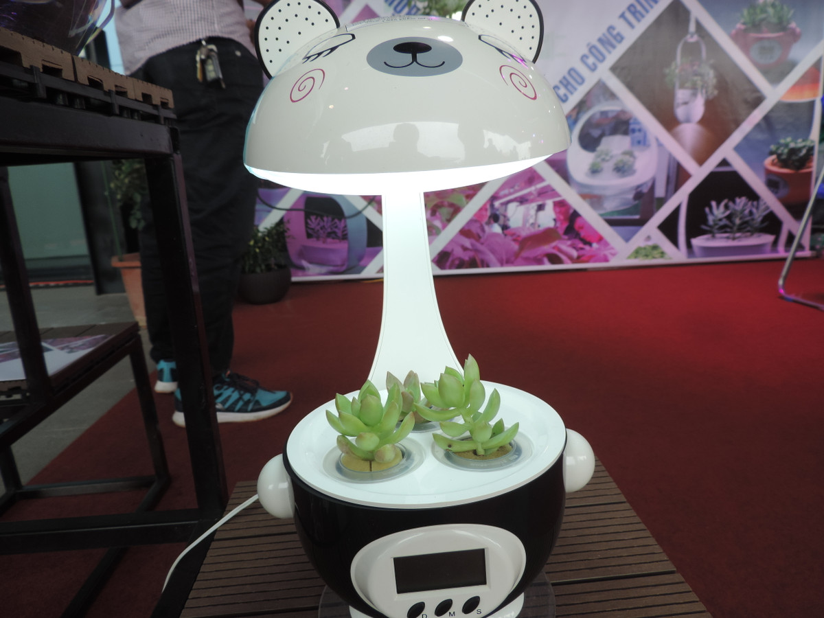 Có thể tận dụng kiểu chậu cây này làm đèn học cũng rất lý tưởng. Mỗi sản phẩm này có giá từ 1,2 đến 1,5 triệu đồng.