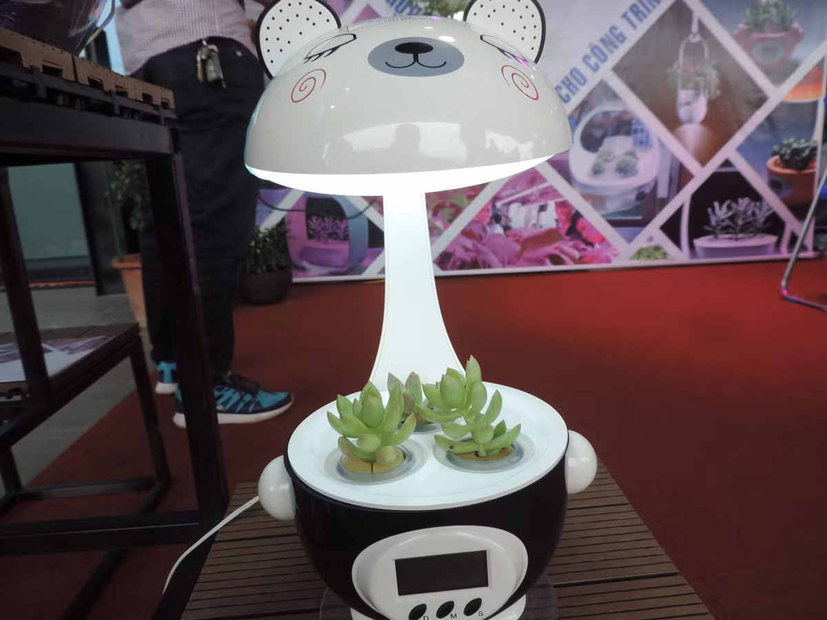 Có thể tận dụng kiểu chậu cây này làm đèn học cũng rất lý tưởng. Mỗi sản phẩm này có giá từ 1,2 đến 1,5 triệu đồng.