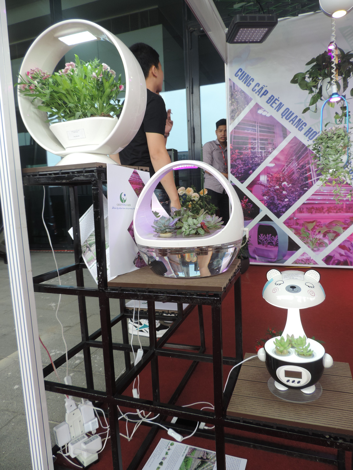 Ngoài chậu cây treo, nhiều mẫu cây để bàn cũng được ứng dụng công nghệ đèn Led quang hợp này.