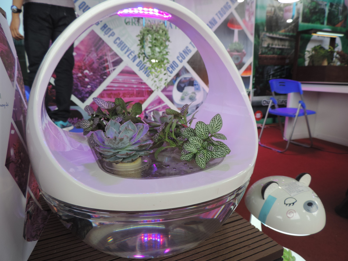 Mẫu chậu cây để bàn có thể nuôi cá ở bên dưới.