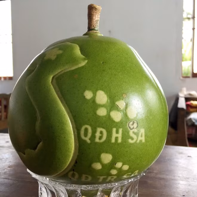 Đào tiên khắc hình bản đồ giá 600.000 – 1.000.000đồng/cặp (bình quân mỗi trái nặng 1,2-1,5 kg) được bán dịp cận Tết Nguyên đán 2017. Ảnh: Zing.