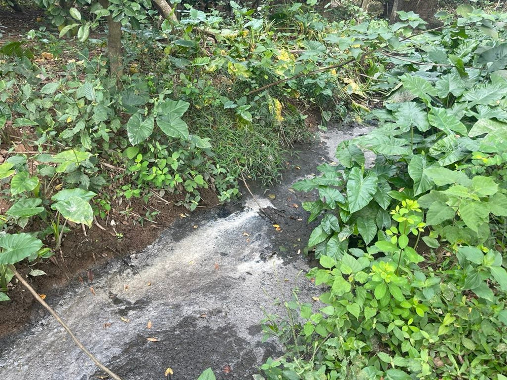 “Lò” giết mổ gia súc không phép, ô nhiễm: Chủ cơ sở nói gì? - Hình 2 “Lo” giet mo gia suc khong phep, o nhiem: Chu co so noi gi?-Hinh-2