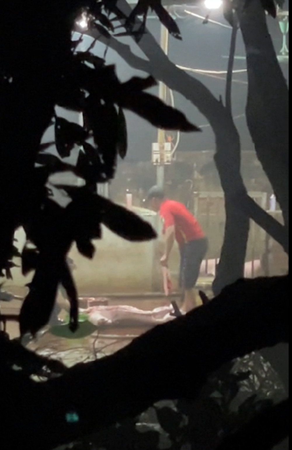 “Lò” giết mổ gia súc không phép, ô nhiễm: Chủ cơ sở nói gì? “Lo” giet mo gia suc khong phep, o nhiem: Chu co so noi gi?