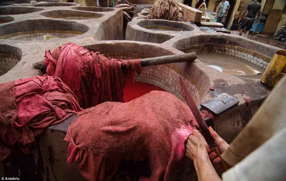 Ngoài ra thuốc nhuộm còn được sử dụng từ các sản phẩm tự nhiên có chức năng tạo màu như henna cho ra màu da cam; gỗ tuyết cho màu nâu và nghệ tây để tạo màu vàng.