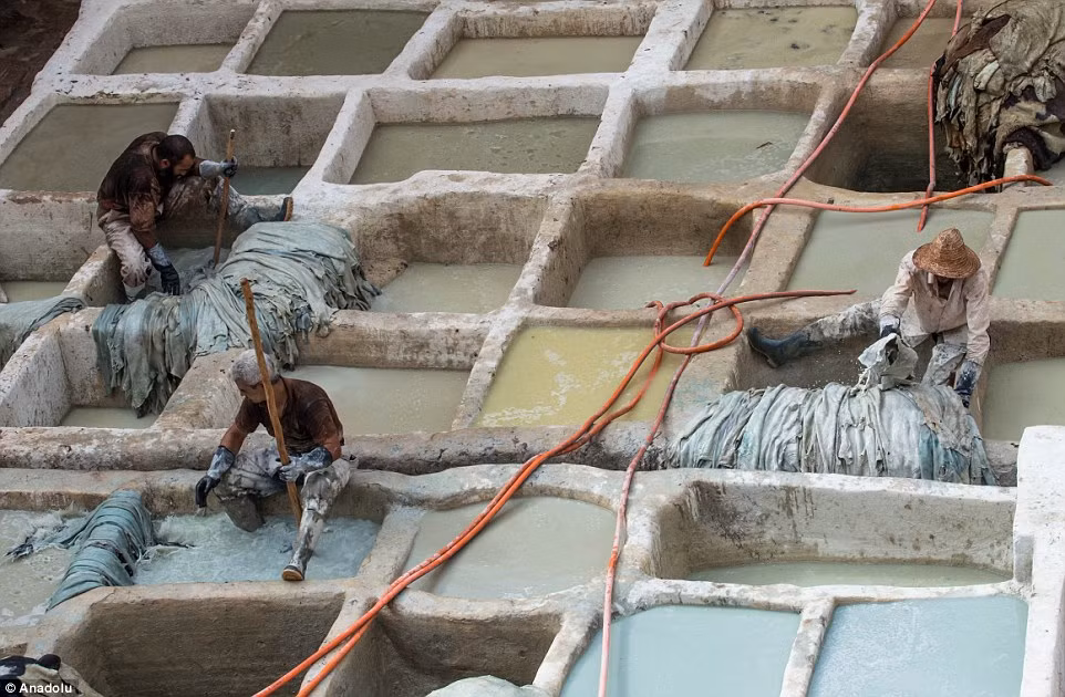 Cuối cùng các sản phẩm da nhuộm sẽ được sấy khô trên mái nhà công xưởng và sau đó cung ứng ra thị trường.