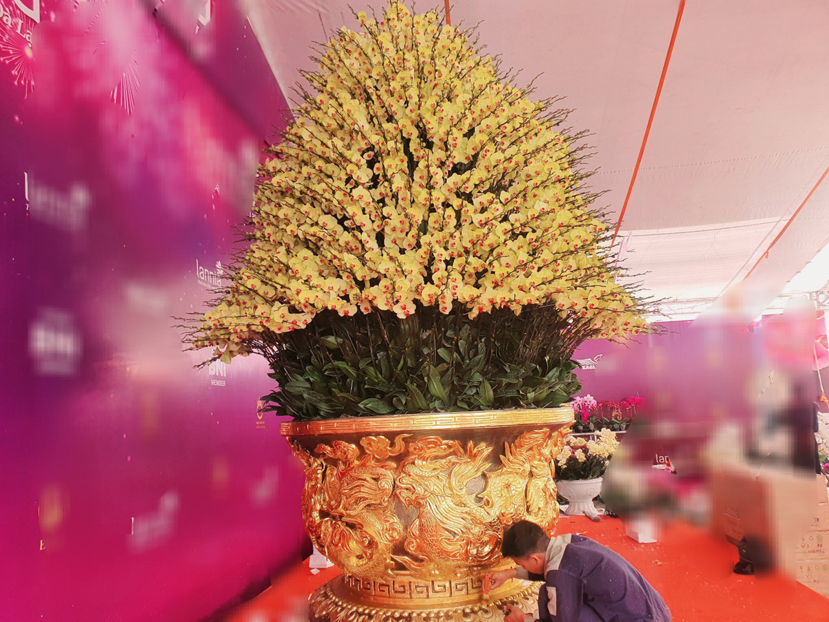 Lan ho diep tien ty, cho “dai gia” mang ve choi Tet-Hinh-13