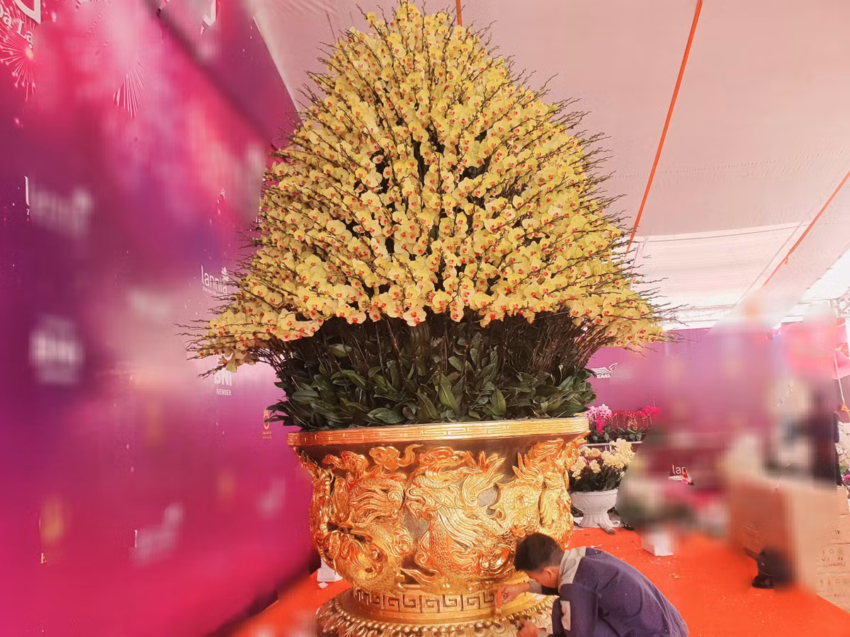 Lan ho diep tien ty, cho “dai gia” mang ve choi Tet-Hinh-13