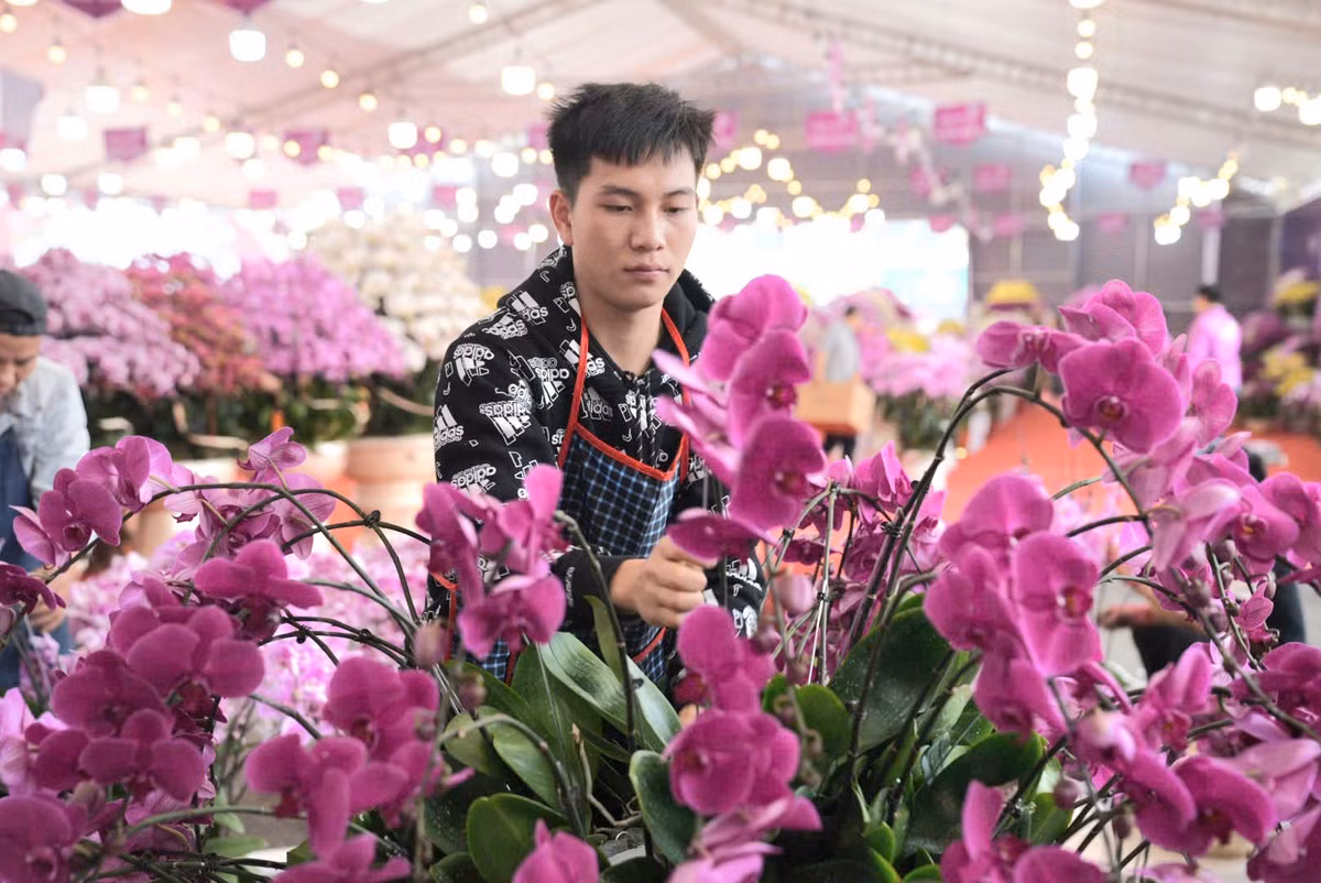 Lan ho diep tien ty, cho “dai gia” mang ve choi Tet-Hinh-5