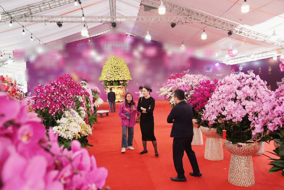 Lan ho diep tien ty, cho “dai gia” mang ve choi Tet-Hinh-4