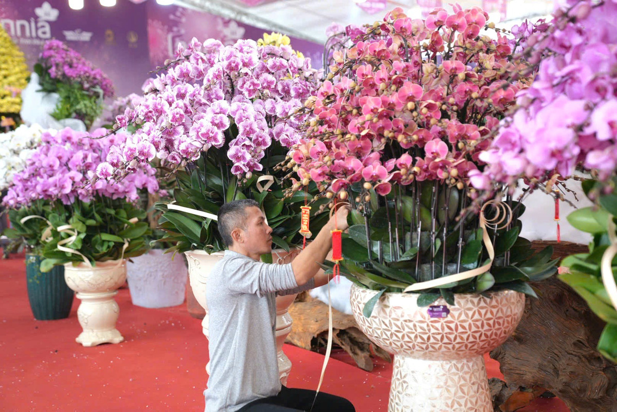 Lan ho diep tien ty, cho “dai gia” mang ve choi Tet-Hinh-8