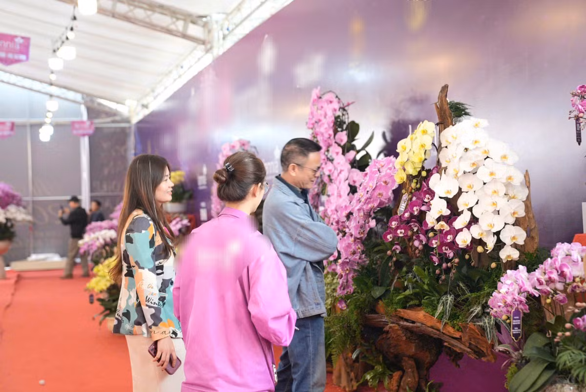 Lan ho diep tien ty, cho “dai gia” mang ve choi Tet-Hinh-15