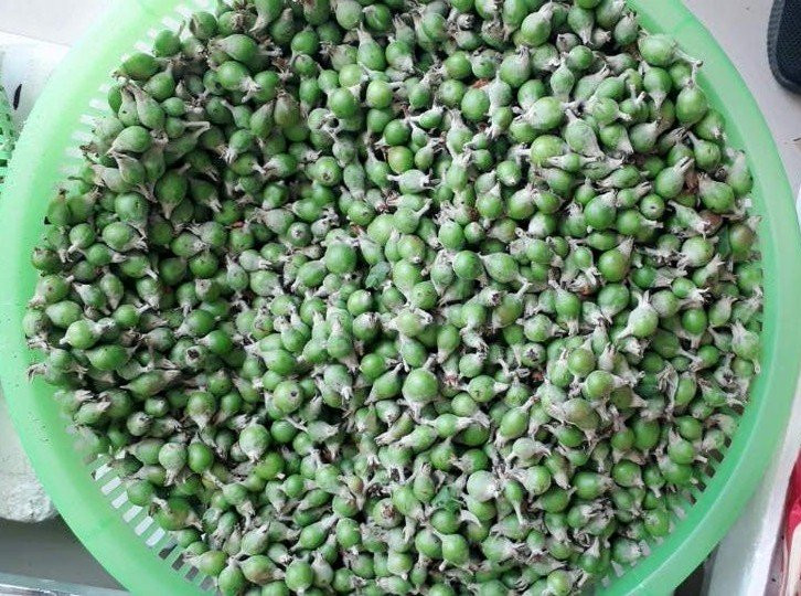 Nhờ lên cơn sốt tại Hà Nội mà có người kiếm cả chục triệu đồng/tuần